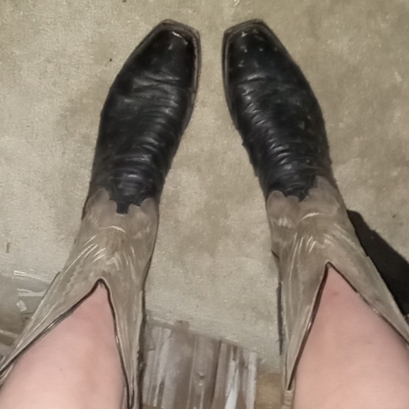 Woman's Osterich Lucchese cowgirl boots - Picture 7 of 7